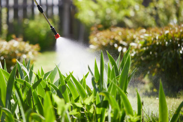 24/7 Emergency Termite Control experts in Grants Pass, OR