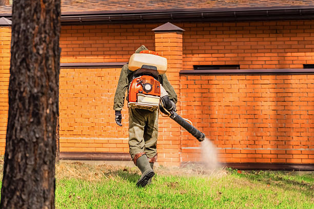 Top rated local Termite Control specialists in Grants Pass, OR